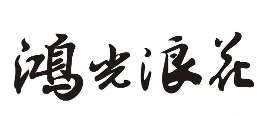 “鸿光浪花”这个老百姓常吃的豆腐品牌荣获“中华老字号”了